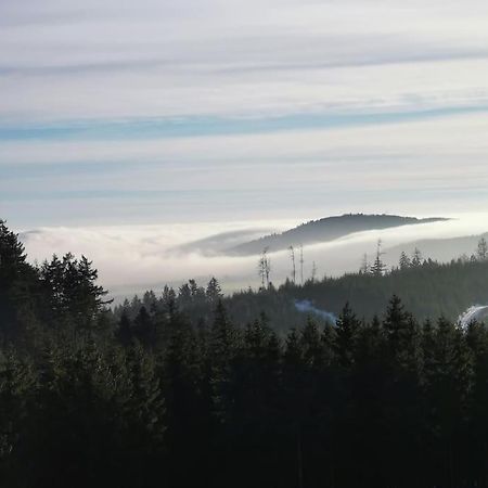 Fewo Albrecht Direkt Am Diemelsteig Diemelsee Dış mekan fotoğraf