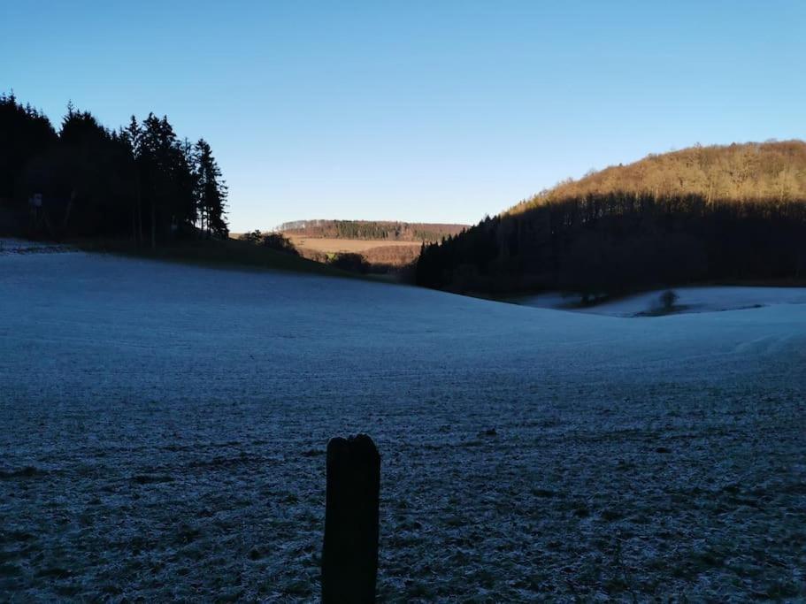 Fewo Albrecht Direkt Am Diemelsteig Diemelsee Dış mekan fotoğraf